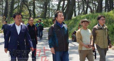 크기변환_진도 관매도 송림2.jpeg