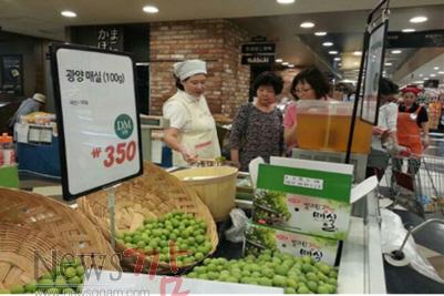 크기변환_광양매실 판촉활동.jpg
