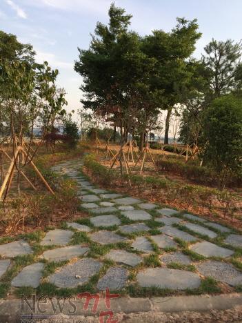 크기변환_학교숲.JPG