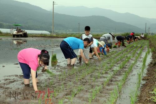 크기변환_15.6.20 통일쌀 모내기 행사 (1).JPG