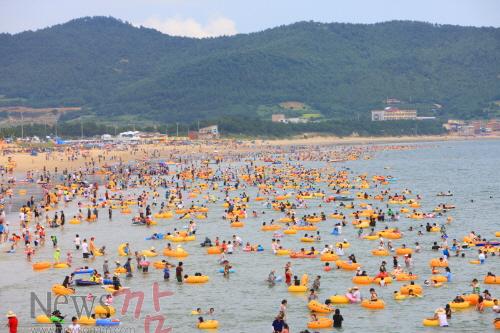 크기변환_대한민국 청정바다 수도, 완도신지명사십리 해수욕장이 7월 3일 개장하고 피서객 맞이에 본격 나선다.  2.JPG