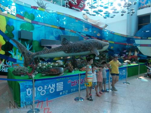 크기변환_목포어린이바다과학관.JPG