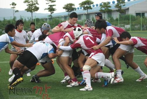 크기변환_럭비1.JPG