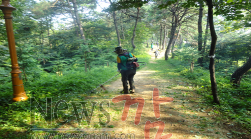 크기변환_서구, 가을맞이 산책로, 공원 새롭게 단장.png