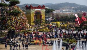 크기변환_2014 대한민국 국향대전 (1).JPG