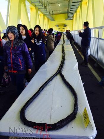 크기변환_고흥군, 1,344m 김밥 만들기 도전 성공... 한국기록원 공식기록 등재 4.jpg