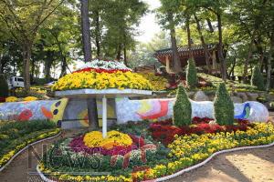 크기변환_2015+화순+도심속+국화향연[준비중]+39.JPG