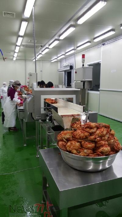 크기변환_진도군, 황칠배추·진도울금 소비자 초청 체험행사 열어2.jpeg