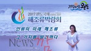 크기변환_완도군은 서울 광화문 앞 정부종합청사 대형 전광판을 통해 2017완도국제해조류박람회를 홍보하고 있다.jpg