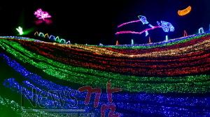 크기변환_2016 보성차밭 빛축제 11일 점등 (1).jpg