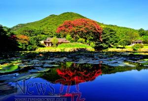 크기변환_2010 진도관광 사진 전국 공모전 금상 ‘운림산방’(자료사진).jpg