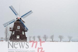 크기변환_12.15_순천만정원_네델란드 정원_풍차와 겨울.jpg