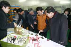 농촌징흥청장 영광군방문2.jpg
