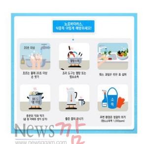 노로바이러스.jpg