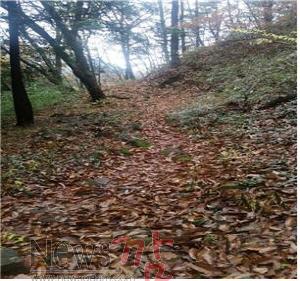 02.01_조계산 법정스님 옛길 복원.jpg